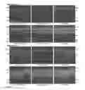 Fig. 07 - PAX6 minipromoters