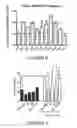 Fig. 07 - Therapeutic use of bone morphogenetic proteins