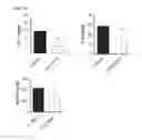 Fig. 09 - Method for treating arthritis using IK factor or nucleic acid encoding IK factor