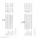 Fig. 08 - Neuroattenuated herpes simplex virus