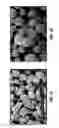 Fig. 02 - CATALYST FOR LOW TEMPERATURE SLURRY BED FISCHER-TROPSCH SYNTHESIS