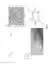 Fig. 07 - Biocatalytic microcapsules for catalyzing gas conversion