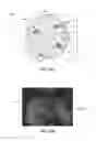 Fig. 16 - Biocatalytic microcapsules for catalyzing gas conversion