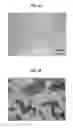 Fig. 07 - Production method of sintered alloy, sintered-alloy compact, and sintered alloy