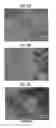 Fig. 09 - Production method of sintered alloy, sintered-alloy compact, and sintered alloy