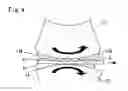 Fig. 04 - SLIDING MEMBER AND MANUFACTURING METHOD THEREFOR