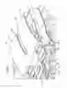 Fig. 07 - Extended seatback module head restraint attachment