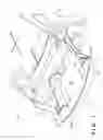 Fig. 02 - Vehicle front structure