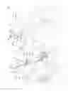 Fig. 02 - Foldable bicycle frame