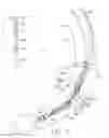 Fig. 06 - Nozzle and vane system for nacelle anti-icing