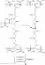 Fig. 07 - Addition-fragmentation agents