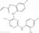 Fig. 652 - ERK inhibitors and uses thereof