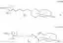 Fig. 112 - PRMT5 INHIBITORS AND USES THEREOF
