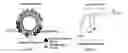 Fig. 02 - Cationic steroidal antimicrobials