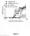 Fig. 03 - NOVEL COMPOUNDS