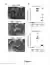 Fig. 05 - NOVEL COMPOUNDS