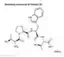 Fig. 01 - N-methyl-D-aspartate receptor modulators and methods of making and using same