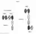 Fig. 02 - Multispecific antigen binding proteins