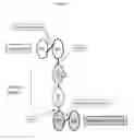 Fig. 03 - Multispecific antigen binding proteins