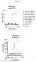 Fig. 13 - Multispecific antigen binding proteins