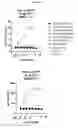 Fig. 15 - Multispecific antigen binding proteins