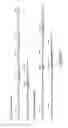 Fig. 02 - Antibody molecules to LAG-3 and uses thereof