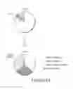 Fig. 16 - Antibody molecules to LAG-3 and uses thereof