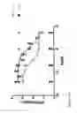 Fig. 40 - BISPECIFIC BINDING AGENTS TARGETING THE IGF-1R AND ERBB3 PATHWAYS AND USES THEREOF