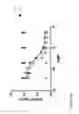 Fig. 41 - BISPECIFIC BINDING AGENTS TARGETING THE IGF-1R AND ERBB3 PATHWAYS AND USES THEREOF