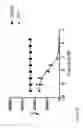 Fig. 43 - BISPECIFIC BINDING AGENTS TARGETING THE IGF-1R AND ERBB3 PATHWAYS AND USES THEREOF