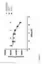 Fig. 45 - BISPECIFIC BINDING AGENTS TARGETING THE IGF-1R AND ERBB3 PATHWAYS AND USES THEREOF