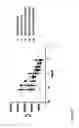 Fig. 56 - BISPECIFIC BINDING AGENTS TARGETING THE IGF-1R AND ERBB3 PATHWAYS AND USES THEREOF
