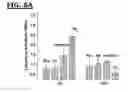 Fig. 07 - Degradable amino acid-based poly (ester urea) copolymer adhesives