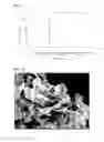 Fig. 06 - Exfoliated graphite-resin composite material and method for producing the same