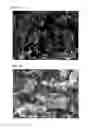 Fig. 07 - Exfoliated graphite-resin composite material and method for producing the same