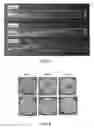 Fig. 05 - Targeting enhanced production through deep carbonate stimulation: stabilized acid emulsions containing insoluble solid materials with desired wetting properties