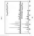 Fig. 02 - NASICON-structured phosphor and light emitting element comprising same luminesent materials