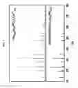 Fig. 04 - NASICON-structured phosphor and light emitting element comprising same luminesent materials