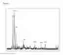 Fig. 02 - METHOD OF EXTRACTING LIPIDS FROM MICROBES