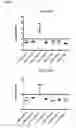 Fig. 09 - METHOD OF EXTRACTING LIPIDS FROM MICROBES