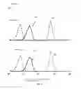 Fig. 05 - Fucosylation-deficient cells