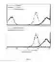 Fig. 08 - Fucosylation-deficient cells