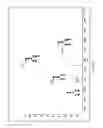 Fig. 16 - Fucosylation-deficient cells