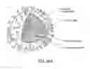 Fig. 49 - Methods for rapid antibiotic susceptibility testing