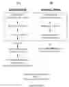 Fig. 06 - Devices and methods for plasmid purification