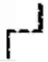 Fig. 02 - Site-specific endonuclease guided rolling circle amplification