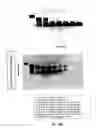 Fig. 07 - Site-specific endonuclease guided rolling circle amplification