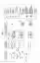 Fig. 02 - Method of quality control of nucleic acid amplification