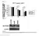 Fig. 06 - METHOD OF PREDICTING REACTION TO SORAFENIB TREATMENT USING GENE POLYMORPHISM
