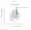 Fig. 04 - FGR fusions